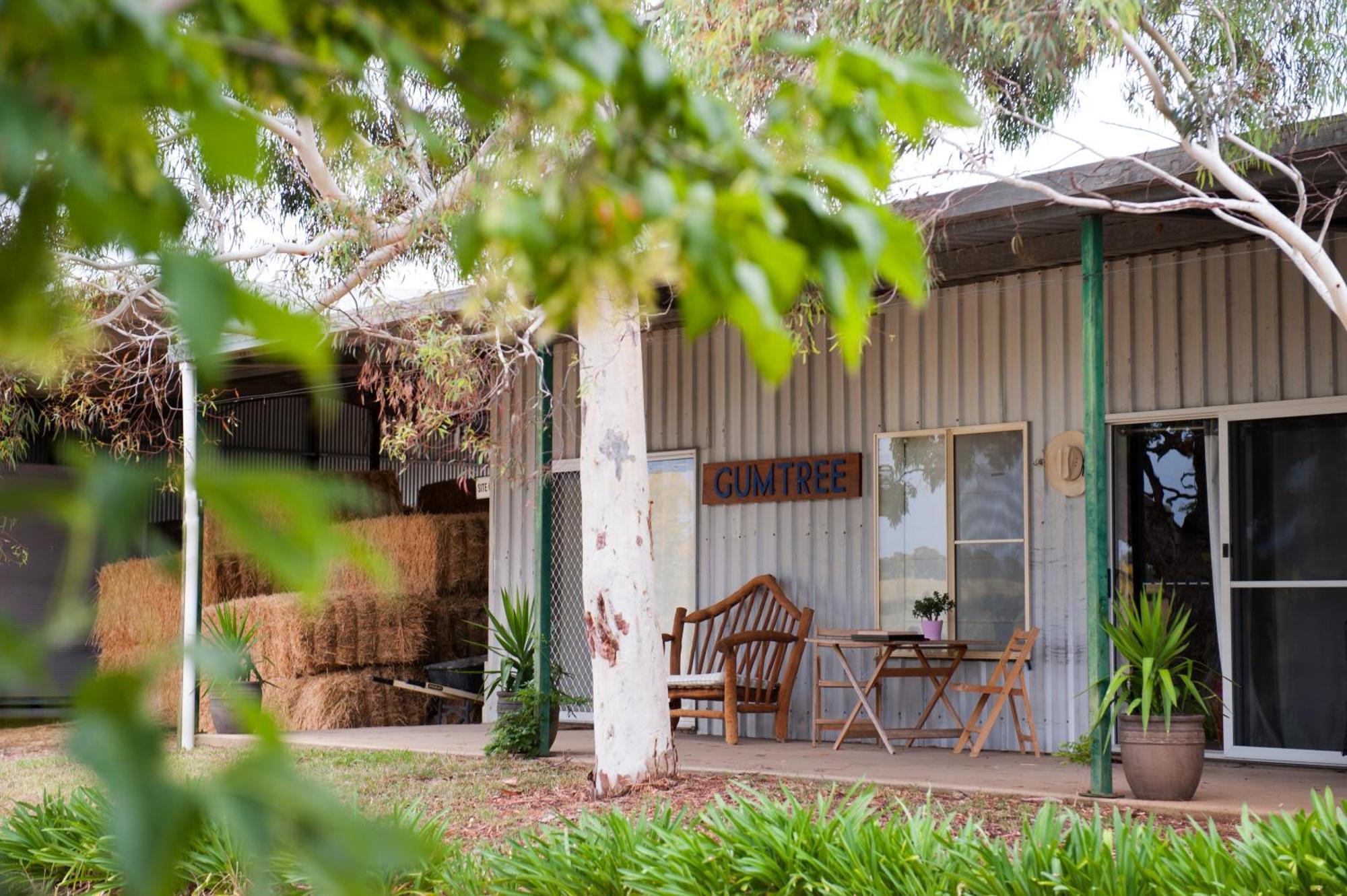 הוילה Peppertree Farm מודגי מראה חיצוני תמונה